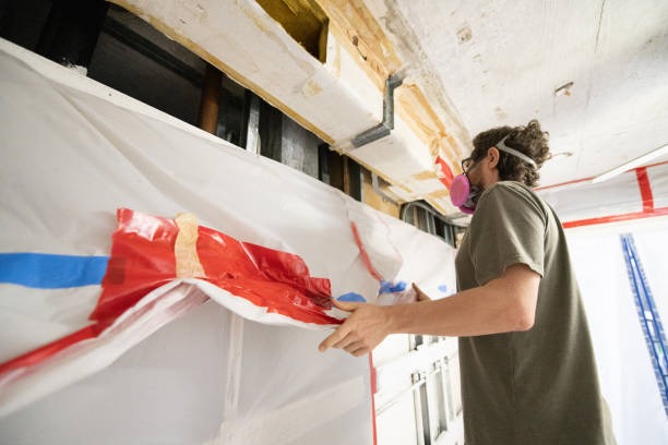Best Mold Odor Removal Services  in Victory Gardens, NJ
