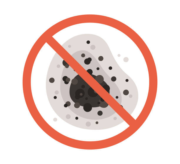 Victory Gardens, NJ Mold Removal Company