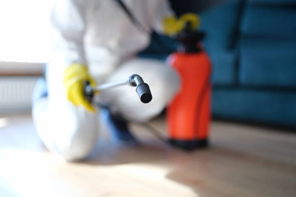 Best Dehumidification Services  in Victory Gardens, NJ
